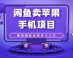 闲鱼卖苹果手机项目,教你闲鱼卖货月入上万-知乎者也