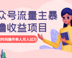 公众号流量主暴利撸收益项目,空闲时间操作单人月入过万-知乎者也