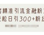 1套精准引流金融粉方法,轻松日引300+粉丝-知乎者也