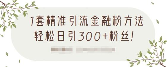 1套精准引流金融粉方法，轻松日引300+粉丝-知乎者也