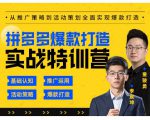 玺承云·拼多多爆款打造实战特训营,一套从入门到高手课程,让你快速拿捏拼多多-知乎者也