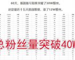 倪叶明·蓝海公众号矩阵项目训练营,0粉冷启动,公众号矩阵账号粉丝突破30w-知乎者也