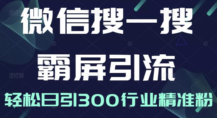 微信搜一搜霸屏引流课，打造被动精准引流系统，轻松日引300行业精准粉-知乎者也