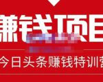 懒人领域·今日头条项目玩法,头条中视频项目,单号收益在50—500可批量-知乎者也