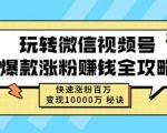 玩转微信视频号爆款涨粉赚钱全攻略,快速涨粉百万变现万元秘诀-知乎者也