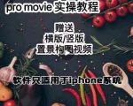 漆十二美食摄影,25节promovie实操高手课节-知乎者也