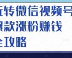 玩转微信视频号爆款涨粉赚钱全攻略,让你快速抓住流量风口,收获红利财富-知乎者也
