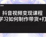 抖音短视频变现课程:带你学习如何制作带货+打造IP【41节】-知乎者也