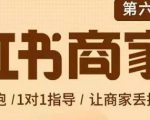 贾真-小红书商家营第6期商家版,21天带货陪跑课,让商家丢掉付流量-知乎者也