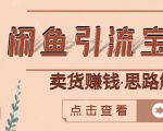 闲鱼引流宝妈粉+卖货赚钱一个月收益30000+(实操视频教程)-知乎者也