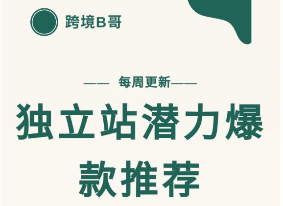 【跨境B哥】独立站潜力爆款选品推荐,测款出单率高达百分之80-知乎者也