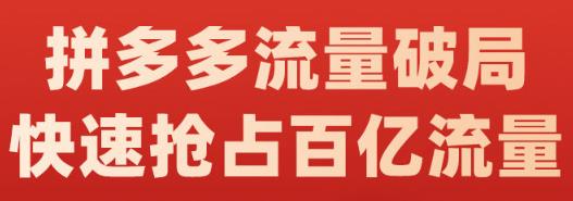阿杰·拼多多流量破局:如何打黑标,爆款的思路,拼多多流量框架,快速抢占百亿流量-知乎者也