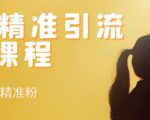soul精准引流系列课程，每天引流100精准粉-知乎者也
