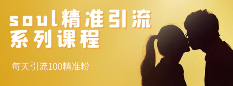 soul精准引流系列课程，每天引流100精准粉-知乎者也