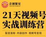 张萌21天视频号实战训练营，裂变涨粉、内容创作、视频号变现 价值298元-知乎者也