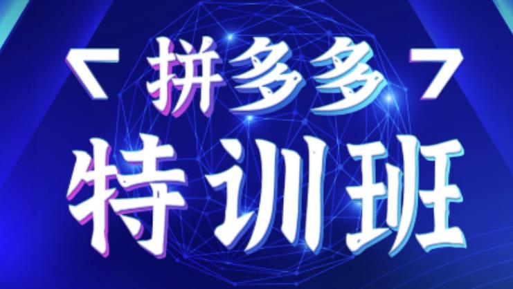 星雪教育·拼多多基础班+进阶班+突破班,用系统的学习模式快速改变现状价值3580元-知乎者也
