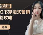 苏歆：小红书穿透式营销收割攻略，引爆流量，助你玩转小红书-知乎者也