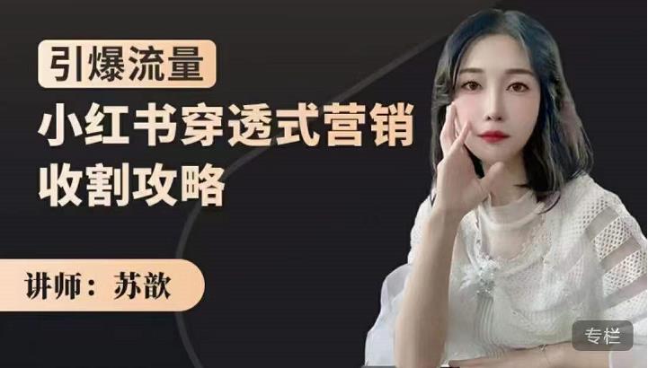 苏歆：小红书穿透式营销收割攻略，引爆流量，助你玩转小红书-知乎者也