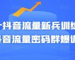 Peter抖音流量新兵训练营-破解抖音流量密码群爆训练营(新兵)-知乎者也
