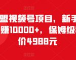 猎人联盟视频号项目，新手0基础轻松月赚10000+，保姆级教程原价4988元-知乎者也