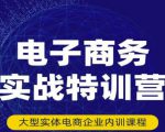 民赛电气内部出品:电子商务实战特训营,全方位带你入门电商,308种方式玩转电商-知乎者也