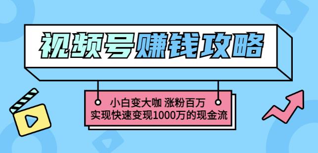 玩转微信视频号赚钱:小白变大咖涨粉百万实现快速变现1000万的现金流-知乎者也