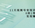 11天视频号变现训练营,从0到1打造变现赚钱系统(价值398元)-知乎者也