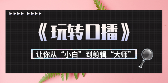 月营业额700万+大佬教您《玩转口播》让你从“小白”到剪辑“大师”-知乎者也