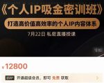 个人IP吸金密训班,打造高价值高效率的个人IP内容体系(价值12800元)-知乎者也