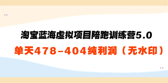 淘宝蓝海虚拟项目陪跑训练营5.0:单天478纯利润-知乎者也
