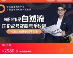 0粉0作品自然流正价起号及稳号全教程,专业自然流起号机构流程化教学(价值2980元)-知乎者也