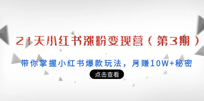 21天小红书涨粉变现营(第3期):带你掌握小红书爆款玩法,月赚10W+秘密-知乎者也