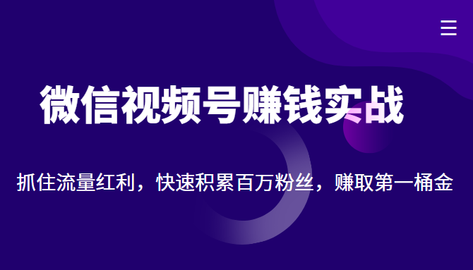 微信视频号赚钱实战:抓住流量红利,快速积累百万粉丝,赚取你的第一桶金-知乎者也