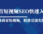 抖音短视频Seo搜索排名优化新手快速入门教程,实体商家短视频,精准引流实操课-知乎者也