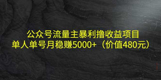 公众号流量主暴利撸收益项目,单人单号月稳赚5000+(价值480元)-知乎者也
