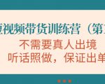 视频带货训练营,不需要真人出境,听话照做,保证出单(第11期)-知乎者也