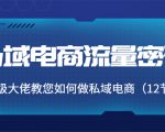 私域电商流量密码:千万级大佬教您如何做私域电商(12节课)-知乎者也