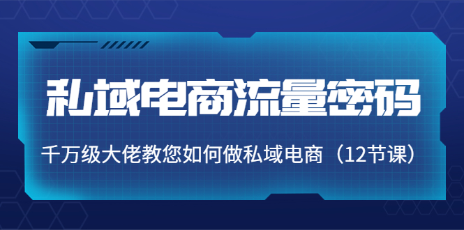 私域电商流量密码:千万级大佬教您如何做私域电商(12节课)-知乎者也