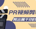 PR视频剪辑课:各种剪辑与视频特效玩法,剪出属于你的大片-知乎者也
