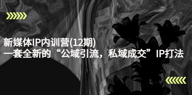 新媒体IP内训营(12期),一套全新的“公域引流,私域成交”IP打法,直接带走-知乎者也