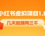 《小红书虚拟项目1.0》账号注册+养号+视频制作+引流+变现,几天就赚两三千-知乎者也