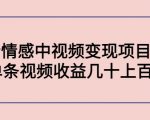 副业孵化营第5期:抖音情感中视频变现项目孵化 单条视频收益几十上百-知乎者也