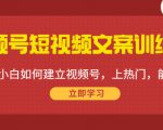 视频号短视频文案训练营:0基础小白如何建立视频号,上热门,能卖货!-知乎者也