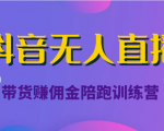 抖音无人直播带货赚佣金陪跑训练营(价值6980元)-知乎者也