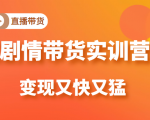 《剧情带货实训营》目前最好的直播带货方式，变起现来是又快又猛（价值980元）-知乎者也