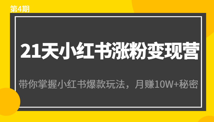 21天小红书涨粉变现营(第4期):带你掌握小红书爆款玩法,月赚10W+秘密-知乎者也