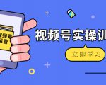 微信视频号实操训练营:视频号起号运营纯干货玩法!-知乎者也
