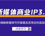 新媒体商业IP3.0,全面揭秘新媒体写作套路及其背后的底层逻辑(价值1299元)-知乎者也