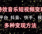 黄岛主《粒子特效音乐短视频变现项目》主攻平台抖音、快手、视频号多种变现方法-知乎者也