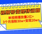 21天视频号变现特训营:单视频播放量2亿+3个月涨粉30w+变现20w+(第14期)-知乎者也